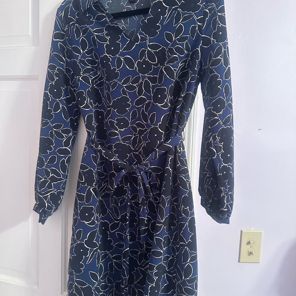 Banana Republic Blue Floral Long Sleeve Dress